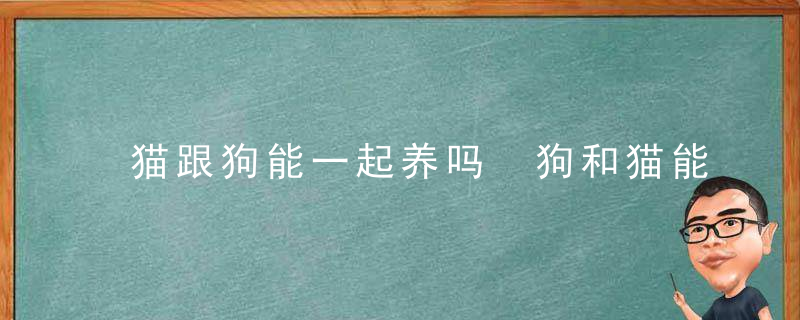 猫跟狗能一起养吗 狗和猫能混养吗